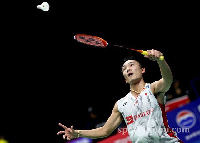 的带领下 的带领下